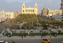 MUNICIPALIDAD DE CHICLAYO REMOVERÁ 33 ARBOLES POR OBRA VIAL