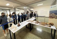 MUNICIPALIDAD DE CHORRILLOS EXHIBE RESTOS DE «YAKU, EL PESCADOR DE ARMATAMBO»
