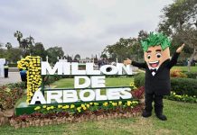 UN MILLÓN DE ÁRBOLES: MUNICIPALIDAD DE LIMA ALCANZA NUEVO HITO DE ARBORIZACIÓN URBANA