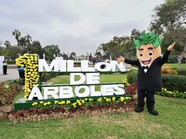 UN MILLÓN DE ÁRBOLES: MUNICIPALIDAD DE LIMA ALCANZA NUEVO HITO DE ARBORIZACIÓN URBANA