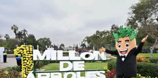 UN MILLÓN DE ÁRBOLES: MUNICIPALIDAD DE LIMA ALCANZA NUEVO HITO DE ARBORIZACIÓN URBANA